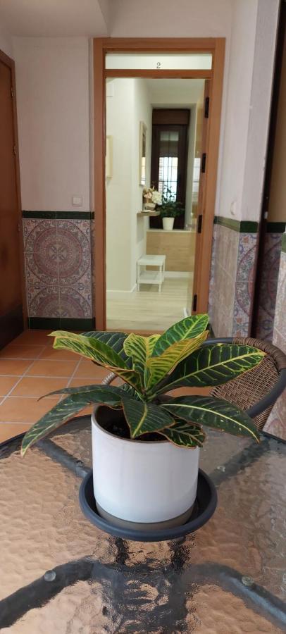 Cordvba Osario Centro Daire Cordoba Dış mekan fotoğraf